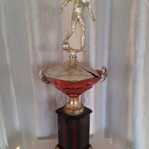 Primeira copa regional de futebol da Liga Alumínio de Futebol