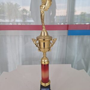 Primeiro Lugar - Circuito Paulista de Travessia aquática - terceira etapa 5x5 1000m