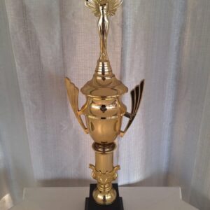 Segundo lugar - segundo torneio de futssal feminino em 04.09.2011