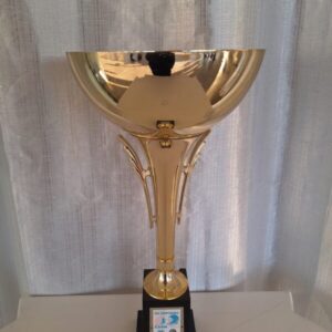 Segundo lugar Olimpíada CASM - equipe 2003