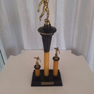 Sexto festival esportivo Torino FC em 11.19.1993