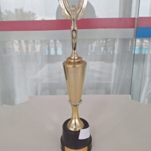 Taça Amauri Ciochetti 2001