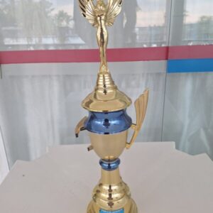 Terceiro Lugar - 6 Master de natação - equipes em junho 2009