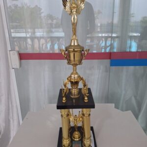 Terceiro lugar - 15 Open de Natação 30.05.2010