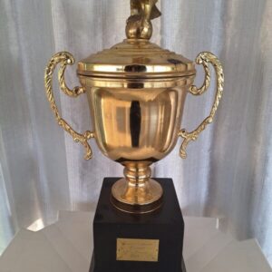 vice campeão campeonato amador regional - 1999