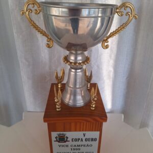 Vice campeão da copa ouro em pirapora do bom jesus 1999