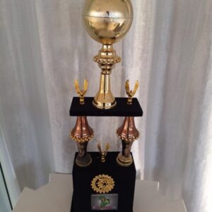 Vice campeão da copa regional de futebol 2012