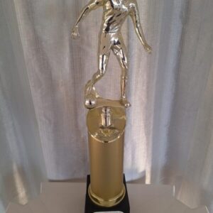 Vice campeão da Segunda Copa Alumínio de Futebol dente de leite 2008 - categoria sub 15