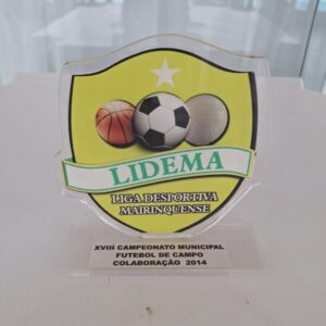 XVIII Campeonato Municipal de 2014 - LIDEMA