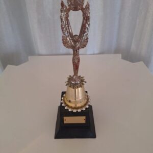 campeão - primeira categoria - torneio mairinquense 93