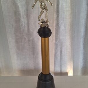 Campeão 91 - Associação Atlética Alumínio - Categoria pré Mirim