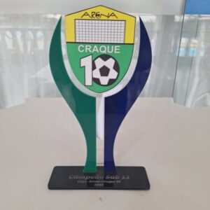 Campeão copa arena craque 10 - categoria sub 13