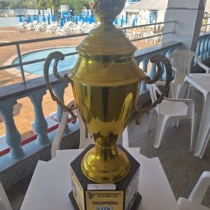 Campeão copa intermunicipal de futebol 2015