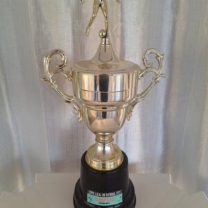 Campeão copa LDA de futebol 2011 - categoria sub 13