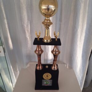 Campeão copa regional de futebol 2012