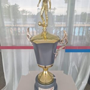 campeão da 7 taça alumínio de futebol 2008