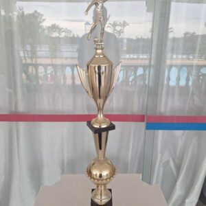 campeão da copa dente de lei regional infantil 2001