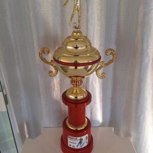 campeão da copa LDA de futebol 2012