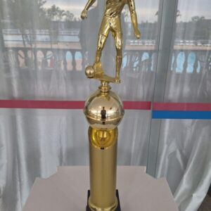 Campeão da Taça Aluminio de Futebol dente de leite 2008 - categoria sub 15