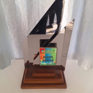 campeão do 24 open de natação do Ibirapuera 2014