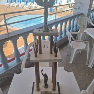 Campeão do campeonato municipal 1983