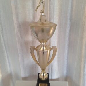 Campeão primeiro campeonato aberto de futsal - Liga Alumínio de futebol de salão - 1998