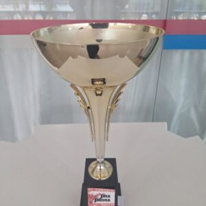 Campeão primeiro torneio de Jiu Jitsu