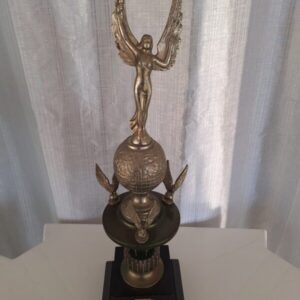 Cmapeão do primeiro Campeonato Intermunicipal de futebol veterano em 1979