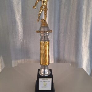 Copa Arena Craque 10- série Ouro -cat. sub 11